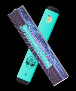 Acquista Penna DMT Disposable